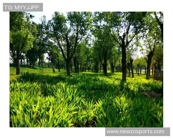 科内特称赞文班职业态度与专注力期待其未来更大突破与成长